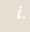 Business Analyst